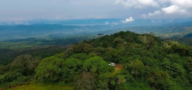 Photo of forest in Africa