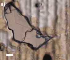 Optical micrograph of a large h-BN crystal exfoliated on a copper foil, fully covered with graphene after the growth. Credit: Journal of Physics: Materials