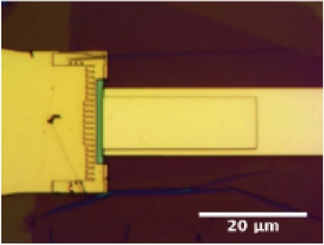 Optical image of a typical T-shape encapsulated plasma resonance capacitor sample obtained by etching a broad boron nitride-graphene-boron nitride stack. Credit: Journal of Physics: Materials