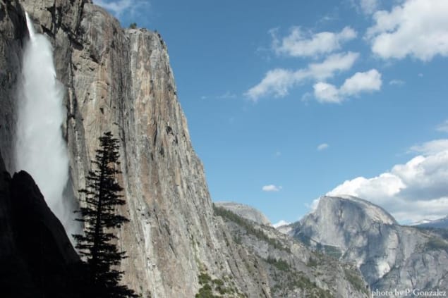 Photo of Yosemite National Park