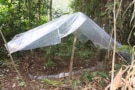 Photo of the rainfall exclusion shelter in Malaysian Borneo