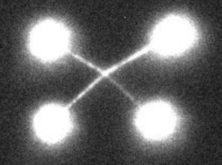 Fluorescence image taken with the C-trap from Lumicks