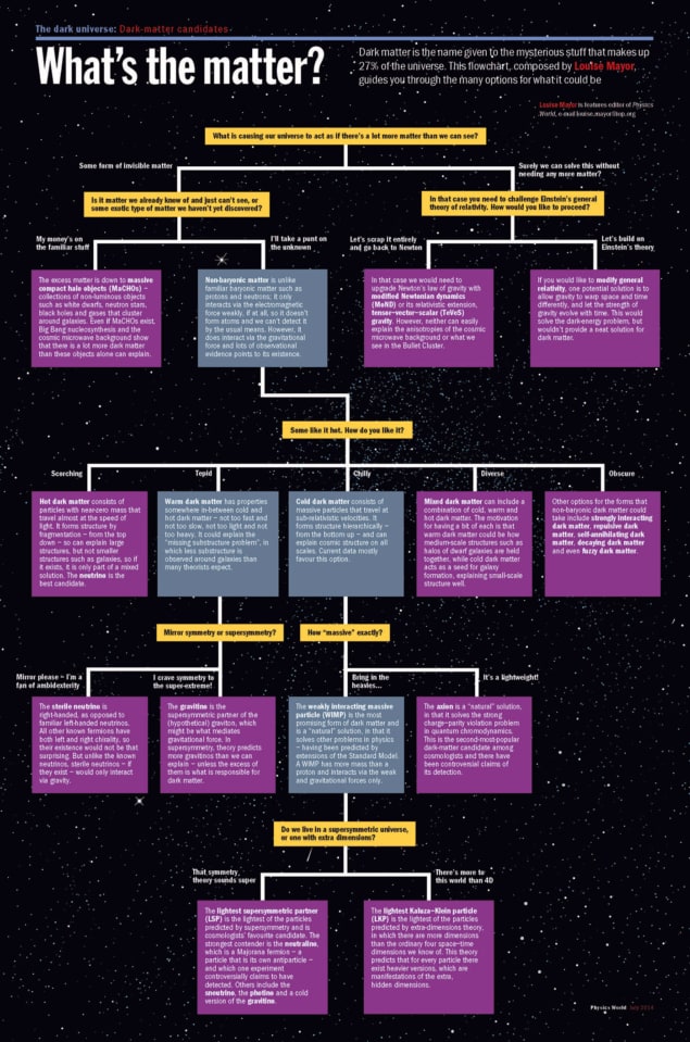 Physics World flowchart outlining the possible options for dark matter