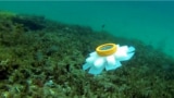 Photo of robot jellyfish in the ocean