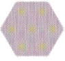 Graphene moiré superlattice