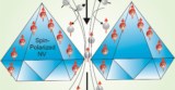 Hyperpolarization