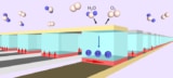 Magneto-ionic switching