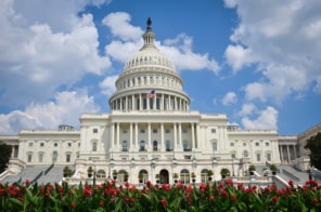 Photo of the Capitol building in Washington, DC