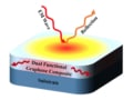 Dual-action graphene composite