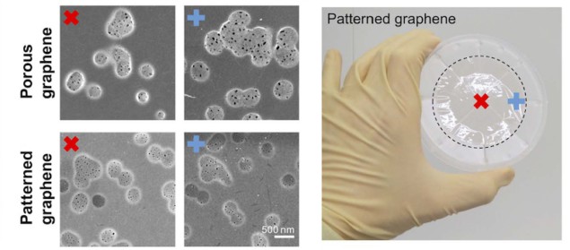 Wafer-scale patterned graphene