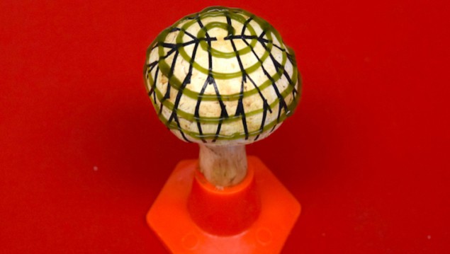 Bionic mushroom