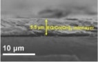 Shuttling stoppers: Cross-section scanning electron microscopy image of exfoliated graphene (EG)/Co(OH)2 interlayer/polypropylene(PP) separator. Credit: Journal of Physics: Energy