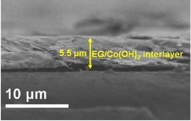 nanosheet graphene separator Shuttling stoppers: Cross-section scanning electron microscopy image of exfoliated graphene (EG)/Co(OH)2 interlayer/polypropylene(PP) separator. Credit: Journal of Physics: Energy
