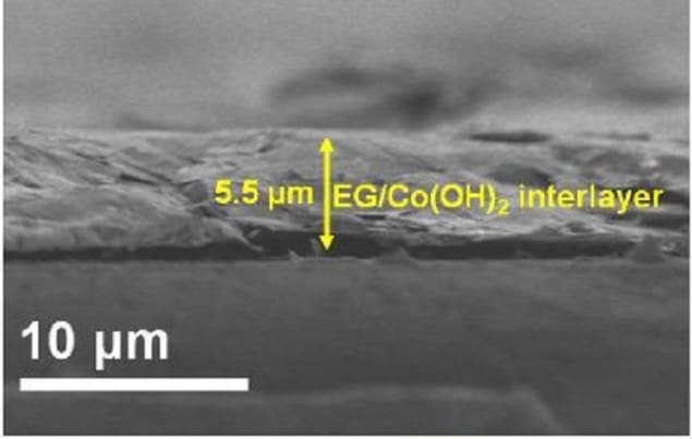 Shuttling stoppers: Cross-section scanning electron microscopy image of exfoliated graphene (EG)/Co(OH)2 interlayer/polypropylene(PP) separator. Credit: Journal of Physics: Energy