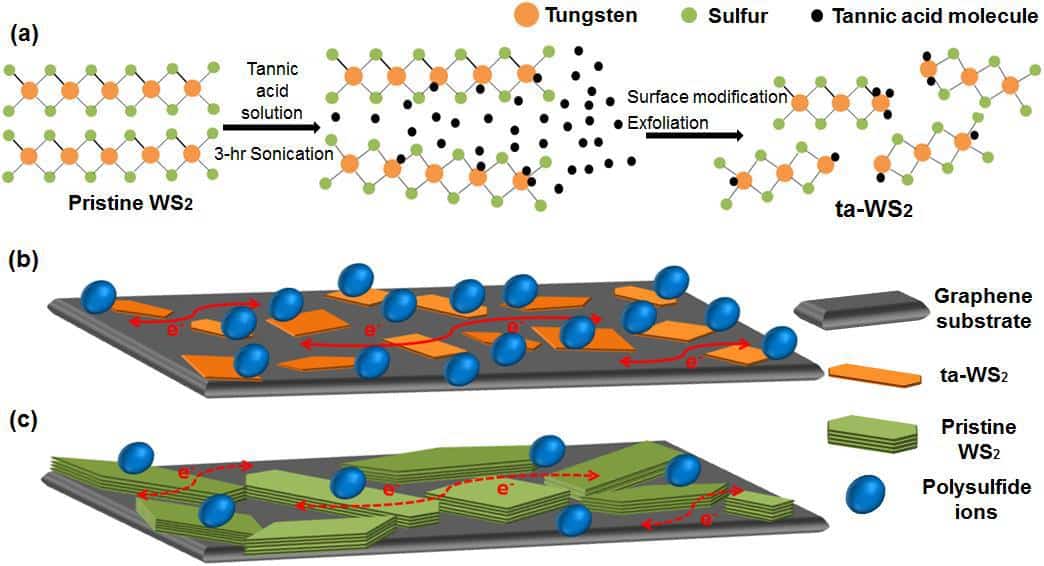 Tannic WS2 enhancements: (a) Schematic representation for effective exfoliation and modification of pristine WS2 with tannic acid assistant. (b) and (c) Schematic illustration of polysulfide species on the graphene mixed with ta-WS2 and pristine WS2, respectively. Credit: Journal Physics: Energy