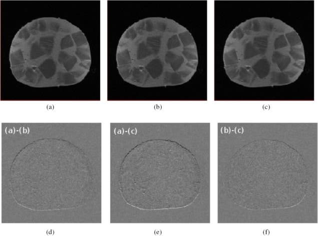 Sausage imaging