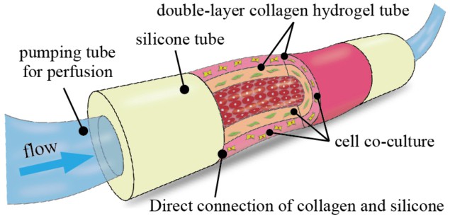 Collagen tube device