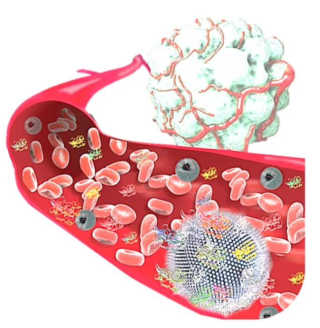 A molecularly rich protein corona A molecularly rich protein corona