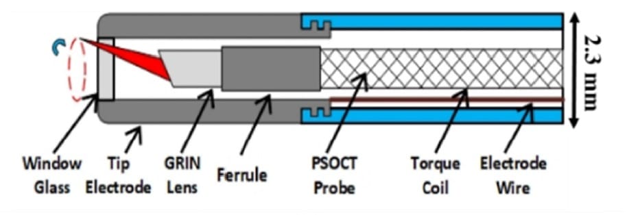 RFA/PSOCT probe