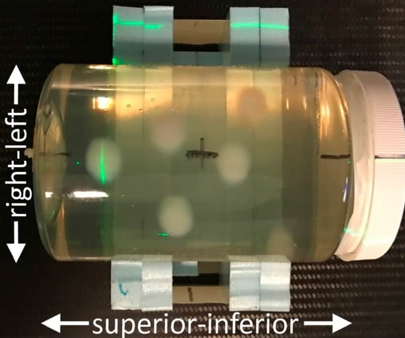 Irradiated dosimeter