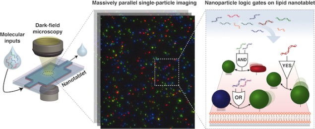 A molecular-computing lipid nanotablet