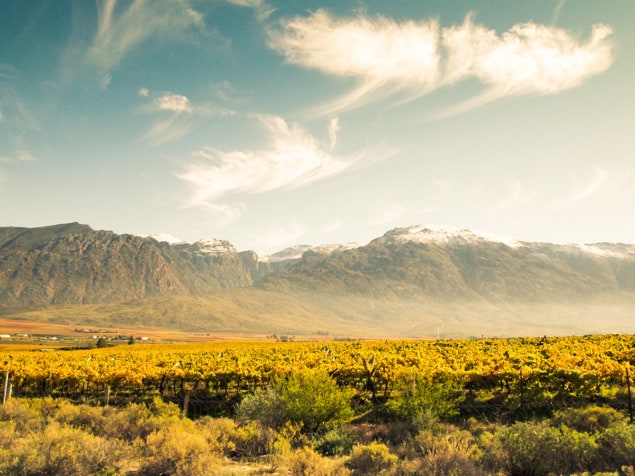 Photo of crops and mountains