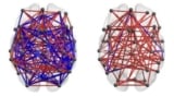 Brain signal patterns