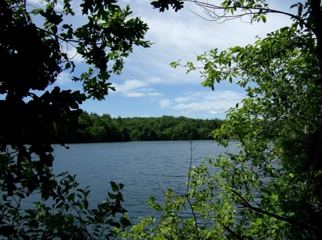 Walden Pond