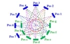 PET detectors and sampling pattern