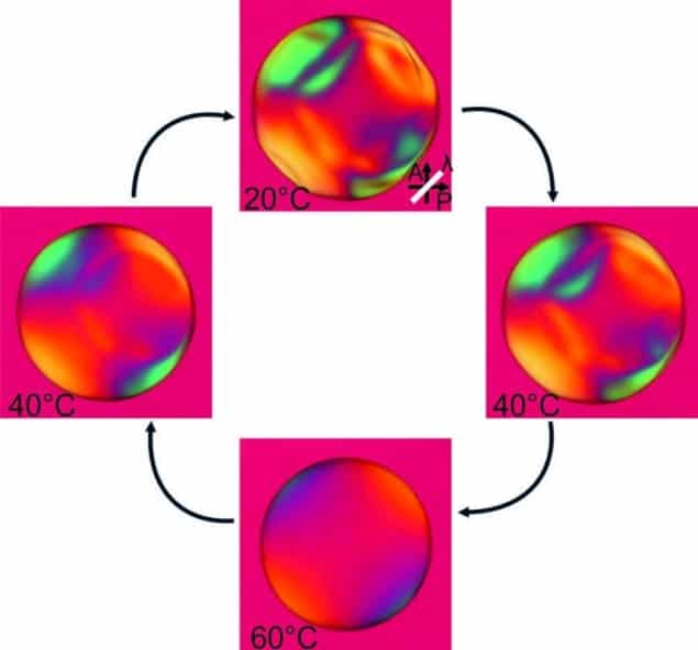 Reversible shape transformation of an LCE