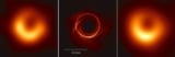 Image of black hole and simulations