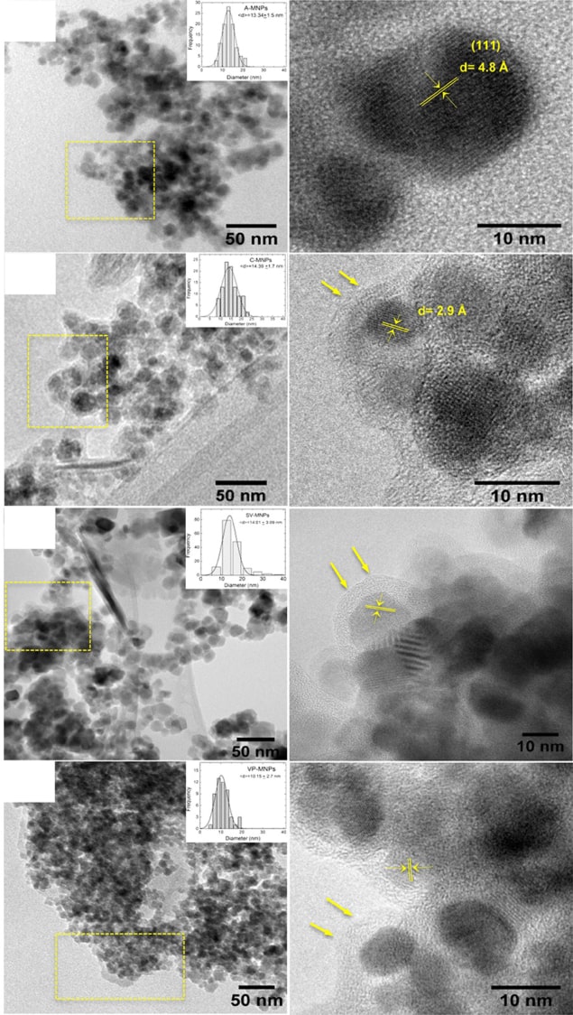 Transmission electron microscopy images