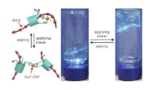 The gelation mechanism