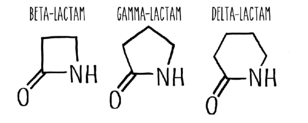 Lactams