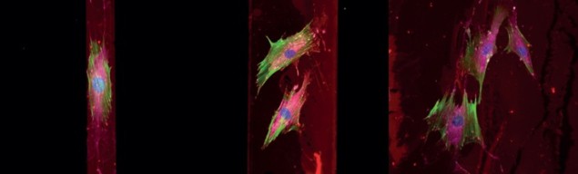 Moving cells Moving cells