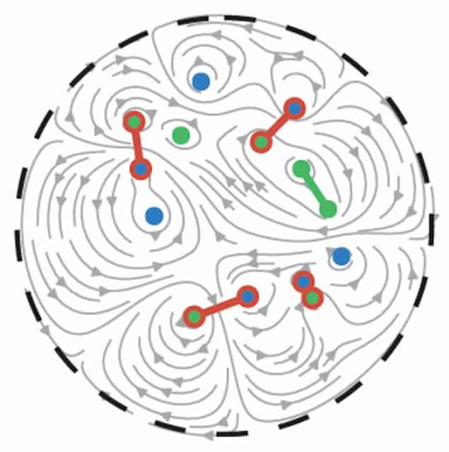 Dipole dominated vortex