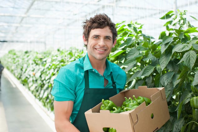 Man with green peppers