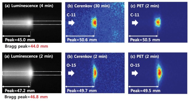 Ion beam images