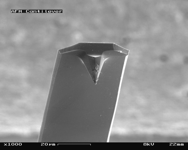 800px-AFM_(used)_cantilever_in_Scanning_Electron_Microscope,_magnification_1000x