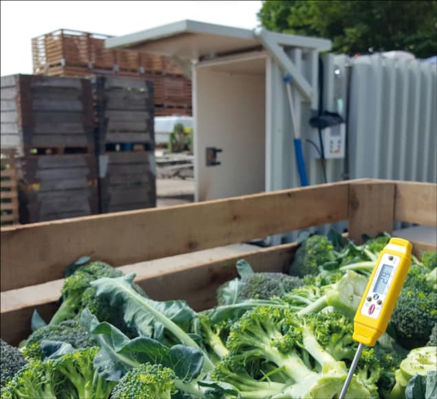 Portable vacuum systems ensure vegetables stay fresh for longer.