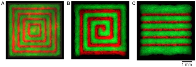 aterally structured hydrogels