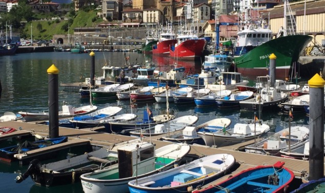 Boats in harbour