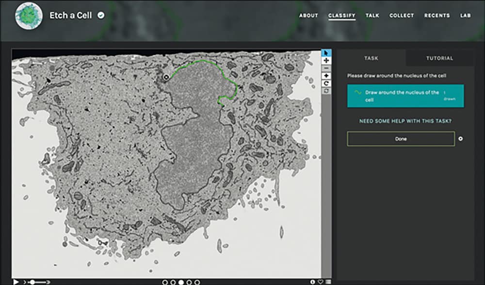 Screen capture of the Etch a Cell web interface.