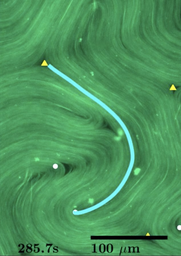 stretching nematic contour line