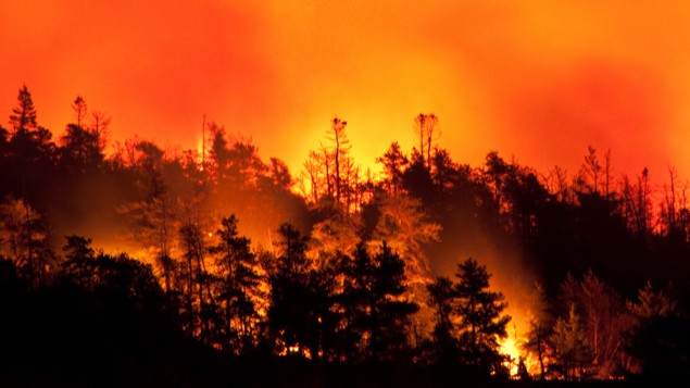 Photograph of a large forest fire