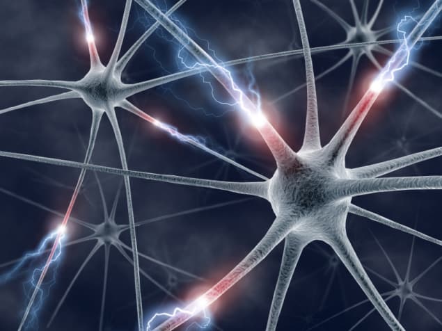 Neuron-inspired electrical model goes quantum – Physics World