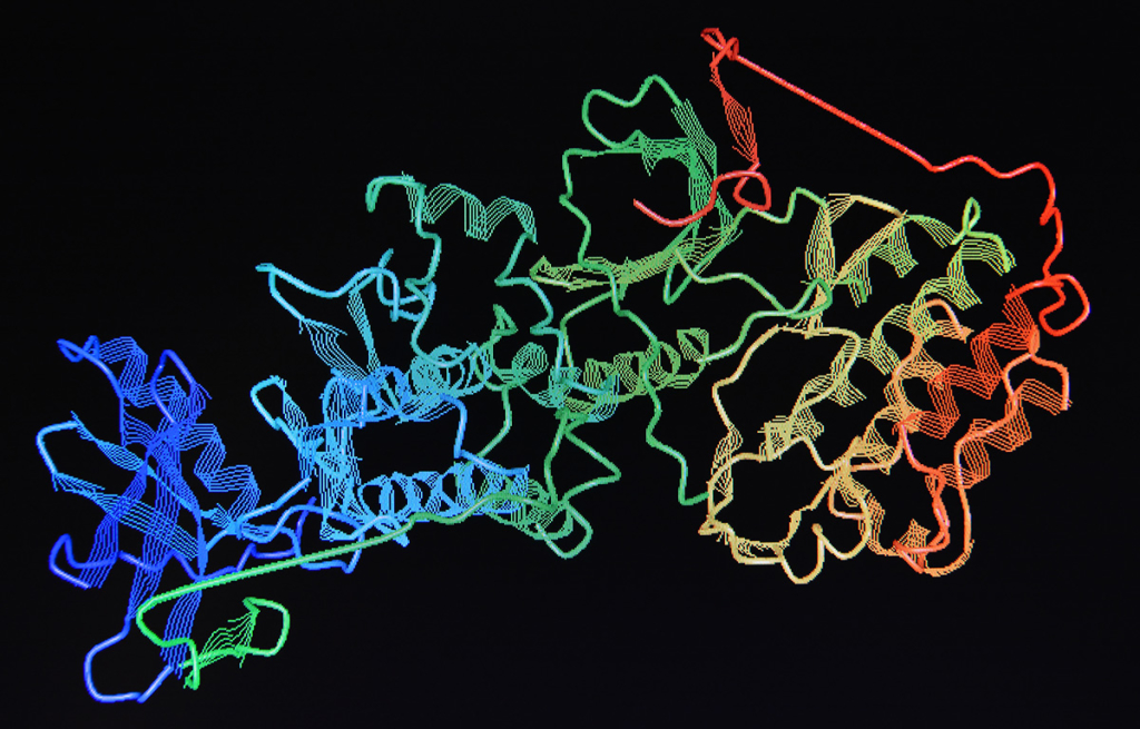 Physicists identify most complex protein knots Physics World