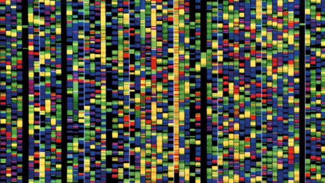 Genome Genome