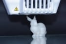 DNA rabbit