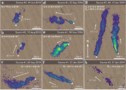 Images showing false-colour data of methane plumes superimposed on satellite images.